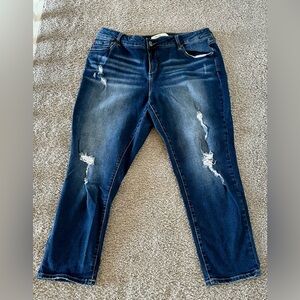 Slink Stylish Distressed Blue Curvy Jeans